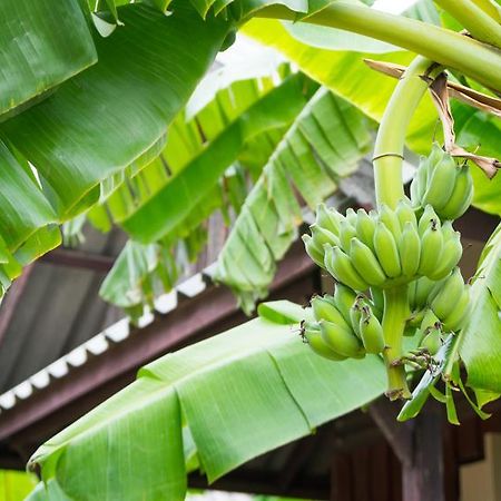 Weekender Bungalow Hotel Lamai Beach  Exterior foto