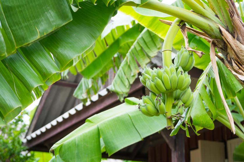 Weekender Bungalow Hotel Lamai Beach  Exterior foto