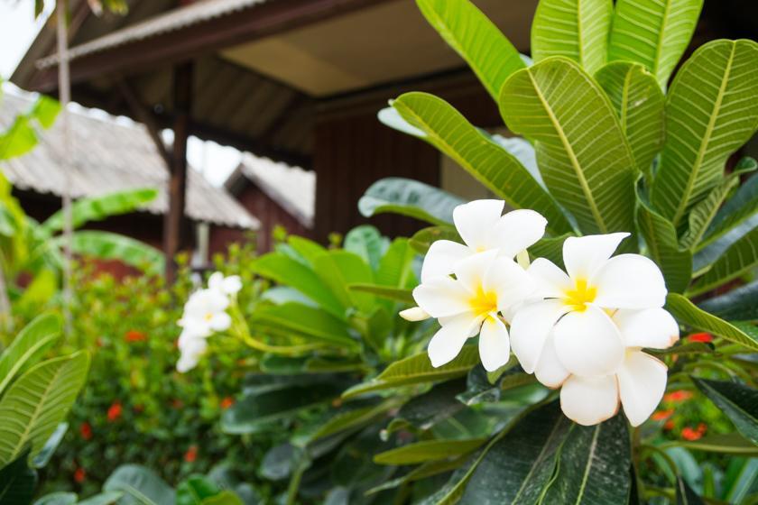 Weekender Bungalow Hotel Lamai Beach  Exterior foto